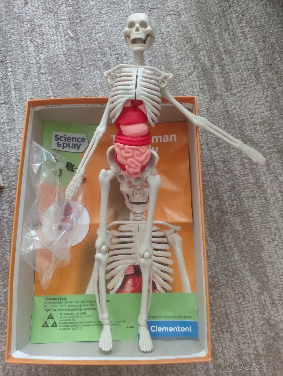 Veda a hra - The Human Body - 2
