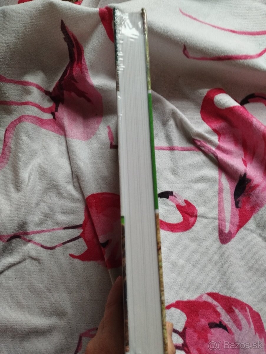 Nova encyklopedia - carovny svet mladat - 2