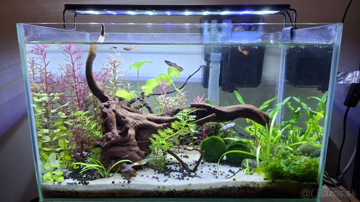 Predám akvarium 35l - 2