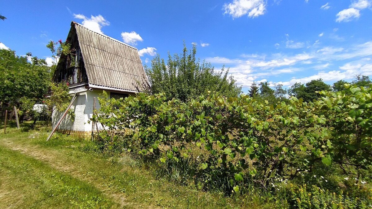 MAKRO REALITY - Záhrada, chatka Veľký Krtíš - 2
