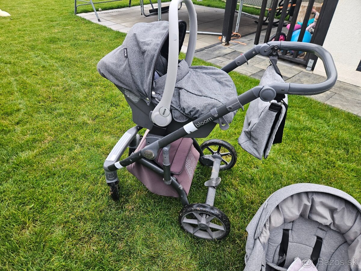 Darujem ROAN BLOOM - 2