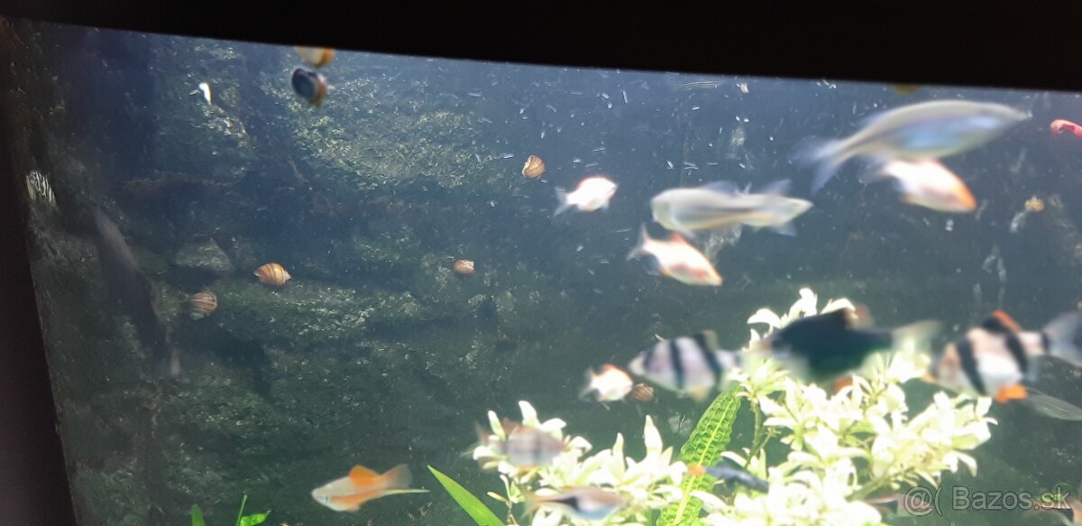 Akvárium Juwel 140 - 2