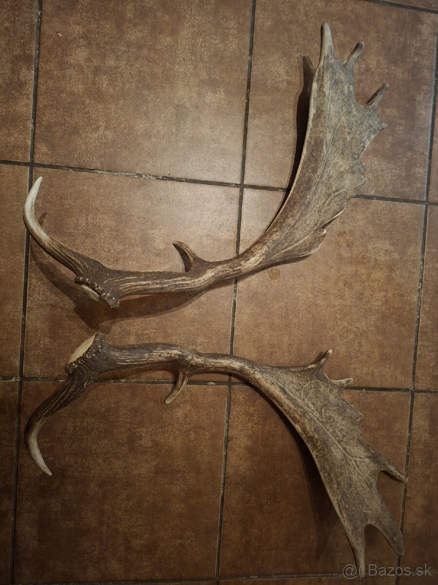 parohy,parozie, zhody,daniel - 2