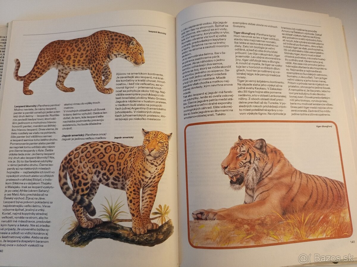 Pestrá príroda - 2