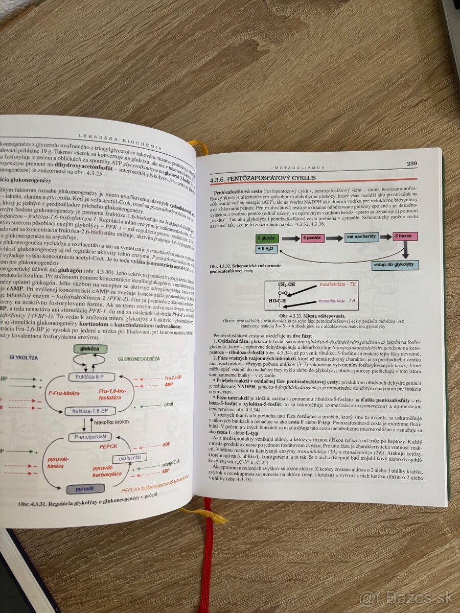 Lekarska biochemia Dušan Dobrota - 2