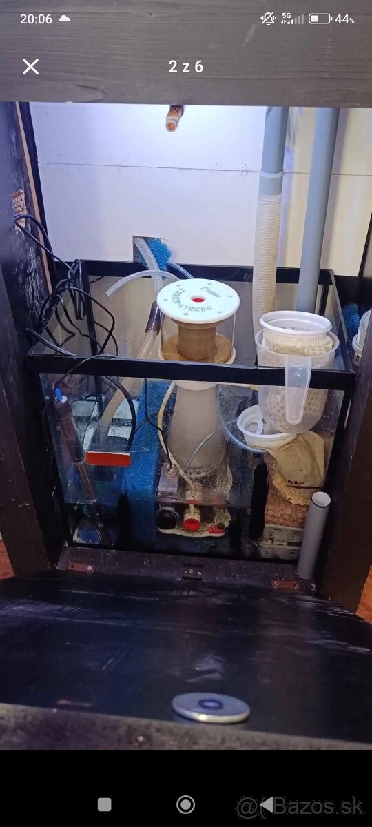 Morské akvárium - 2