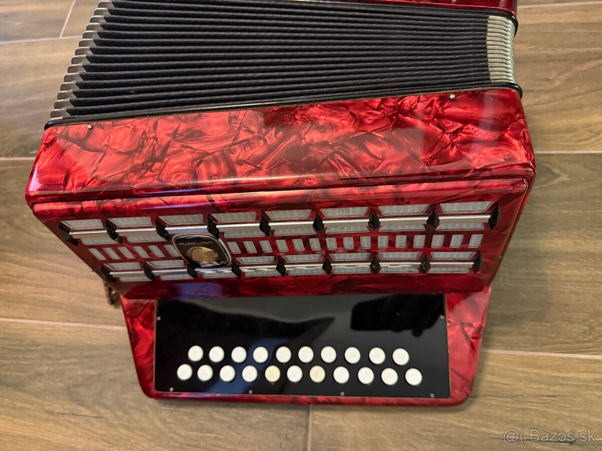 Weltmeister Diatonická Harmonika - 2