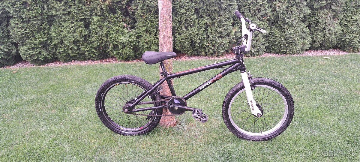 BMX Author Buzz - 2