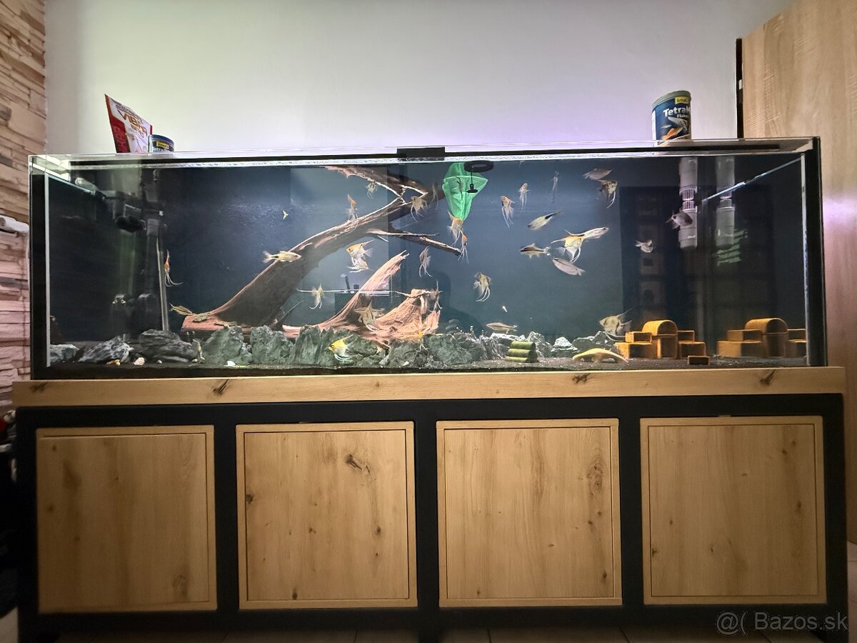 akvarium - 2