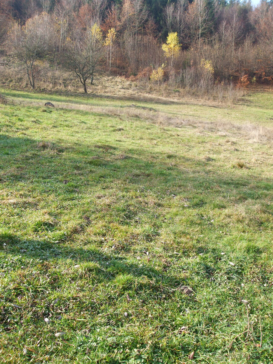 Predám stavebné pozemky v Hriňovej - 2