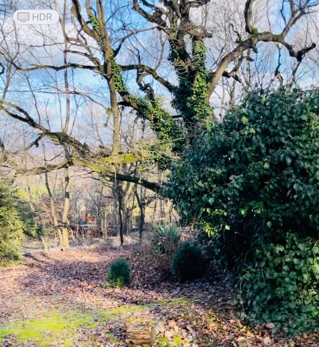 Chata na Jelenci - 2