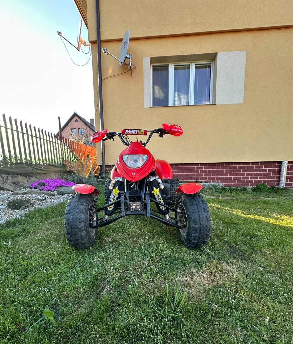 Bashan 250 - 2