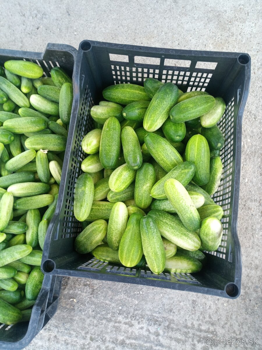 Nakladacky - 2