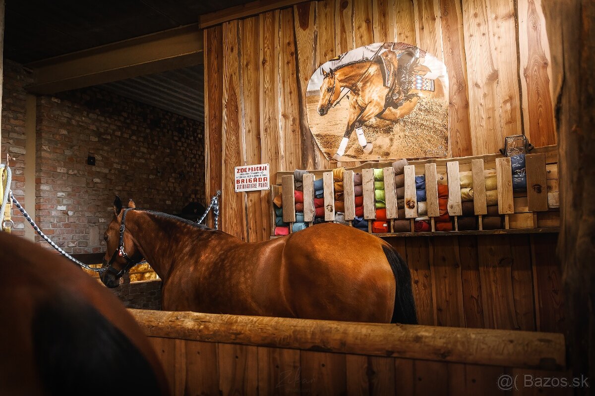 Ustajnenie Ranch 13 - 2