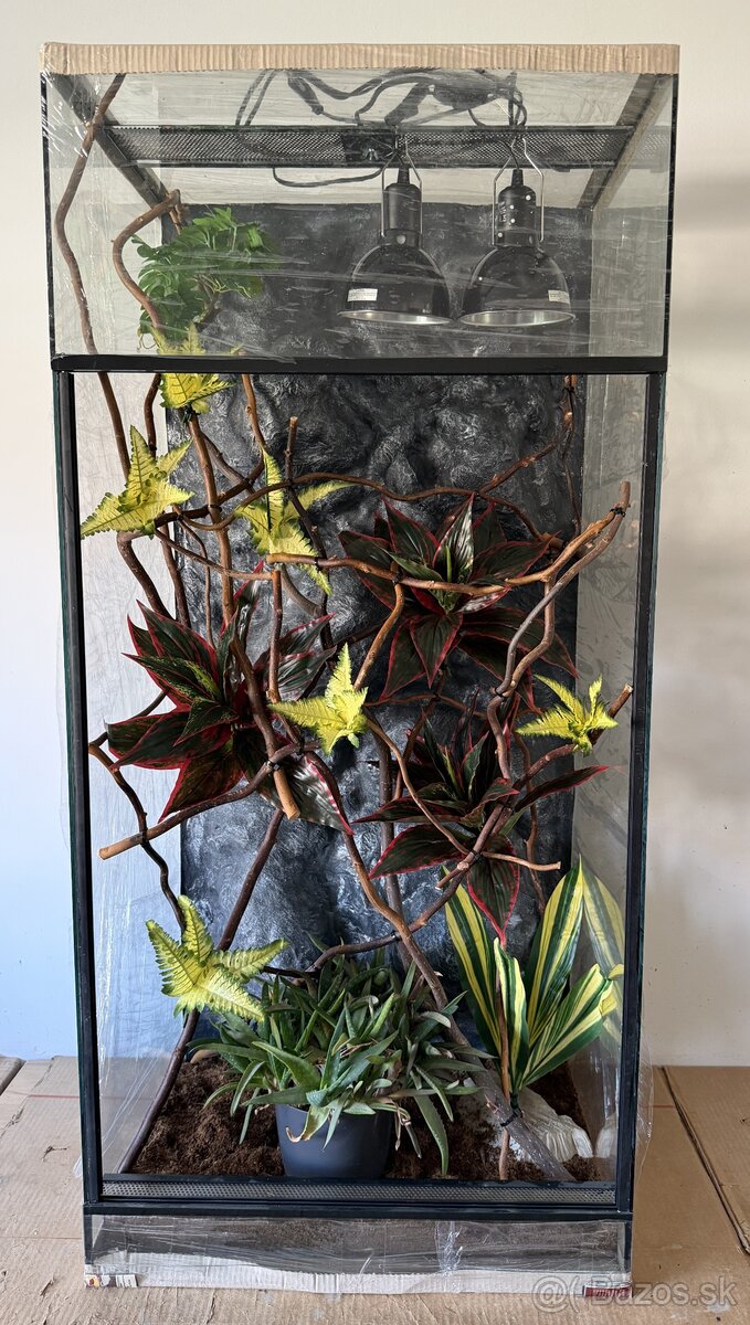 Zariadené terárium 61x50x130 - 2
