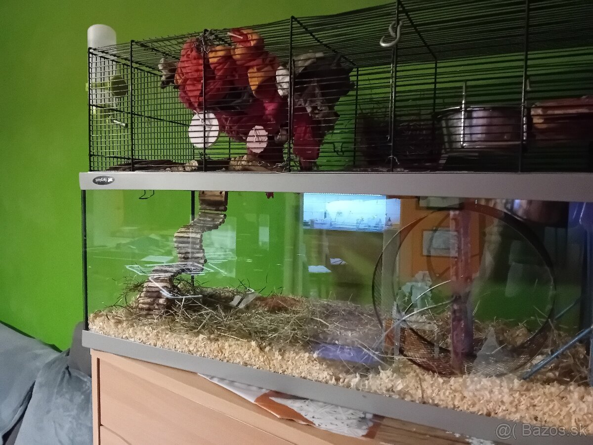 Osmačica s klietkou - 2