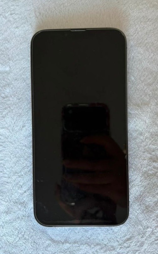 iPhone 13 Pro Max 256 GB - 2