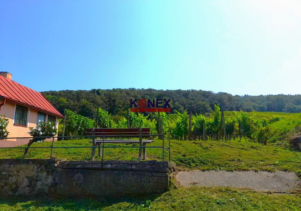 SUPER PONUKA Krásny vinohrad s murovanou chatou - 2