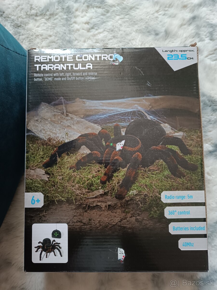 Pavuk tarantula - 2