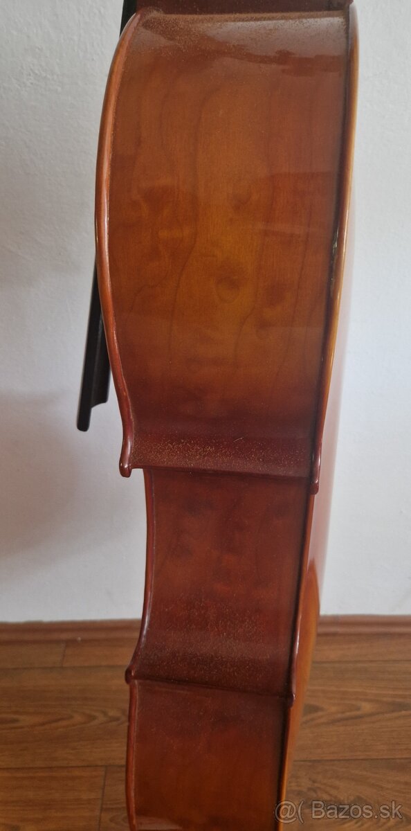Violoncello - 2