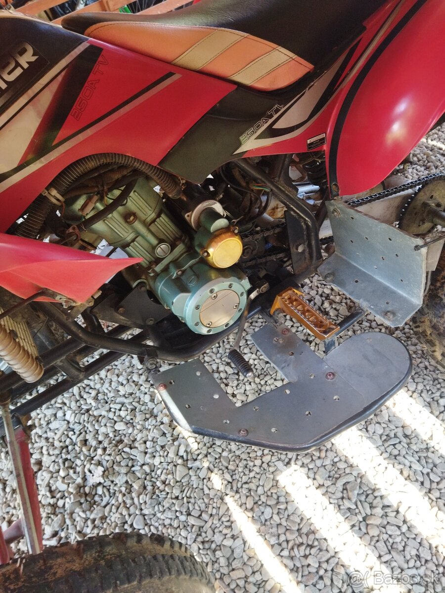 ATV Bashan 250