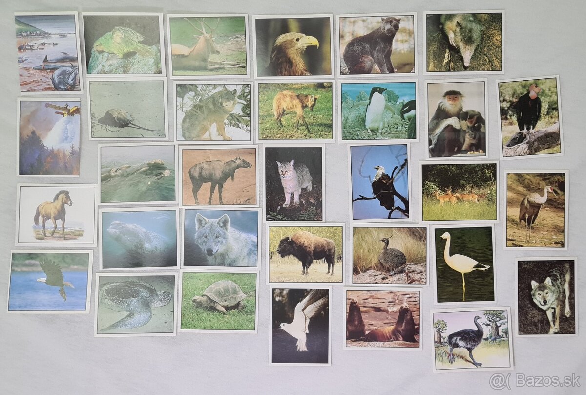 WWF Lutra Panini - 2