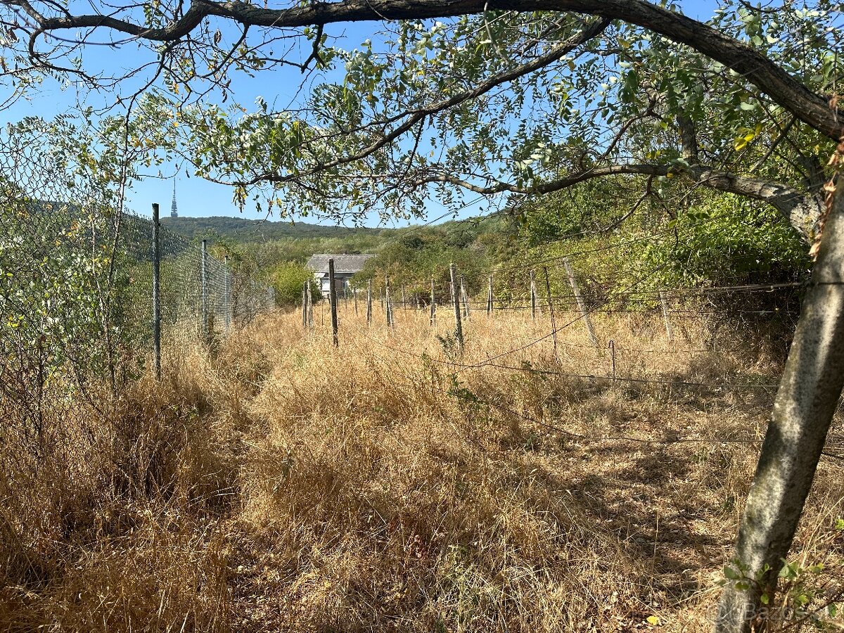 Pozemok 951 m2 v krásnom prostredí nad mestom Veľký Varan - 2