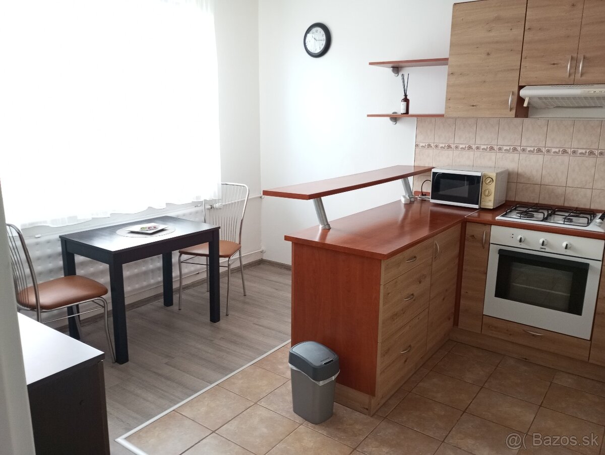 Prenájom 1 izbový byt - 2