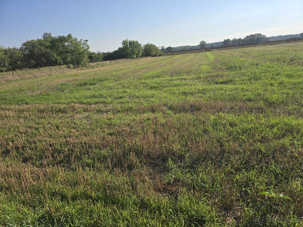 Na predaj rodinný dom s pozemkom 3571 m2 ( v cene ZP ) - 2