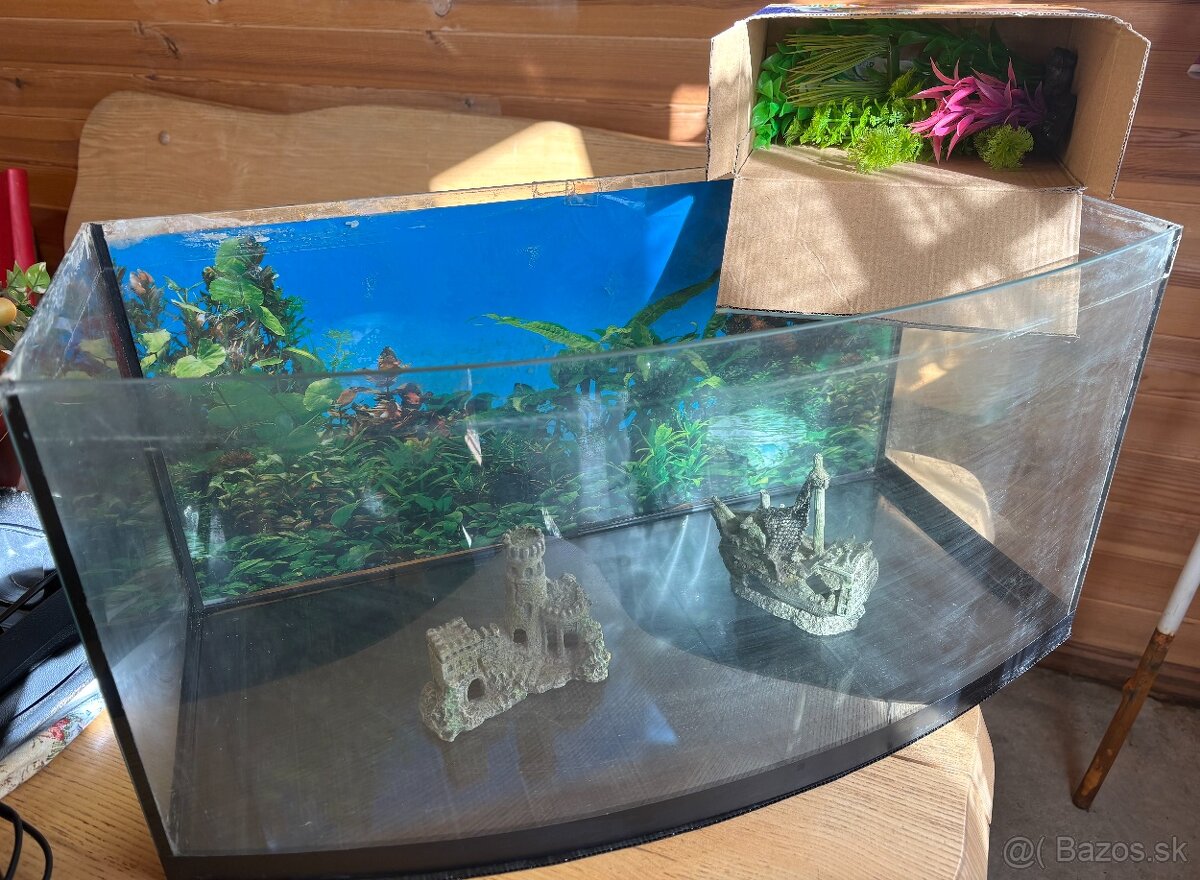 Akvárium - 2