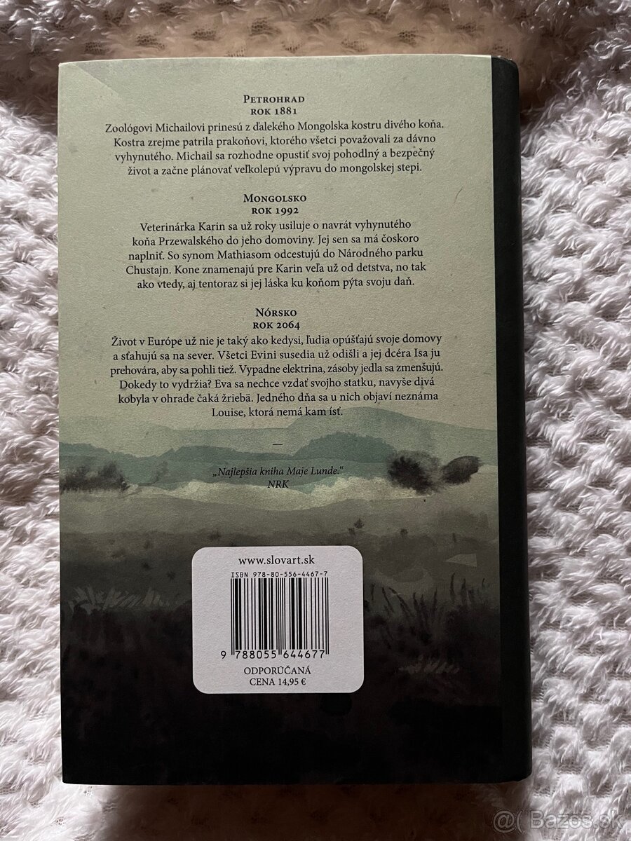 Kôň Przewalského - 2