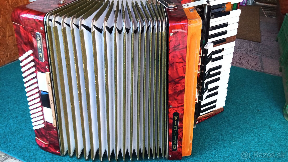 Akordeón Delicia - 2