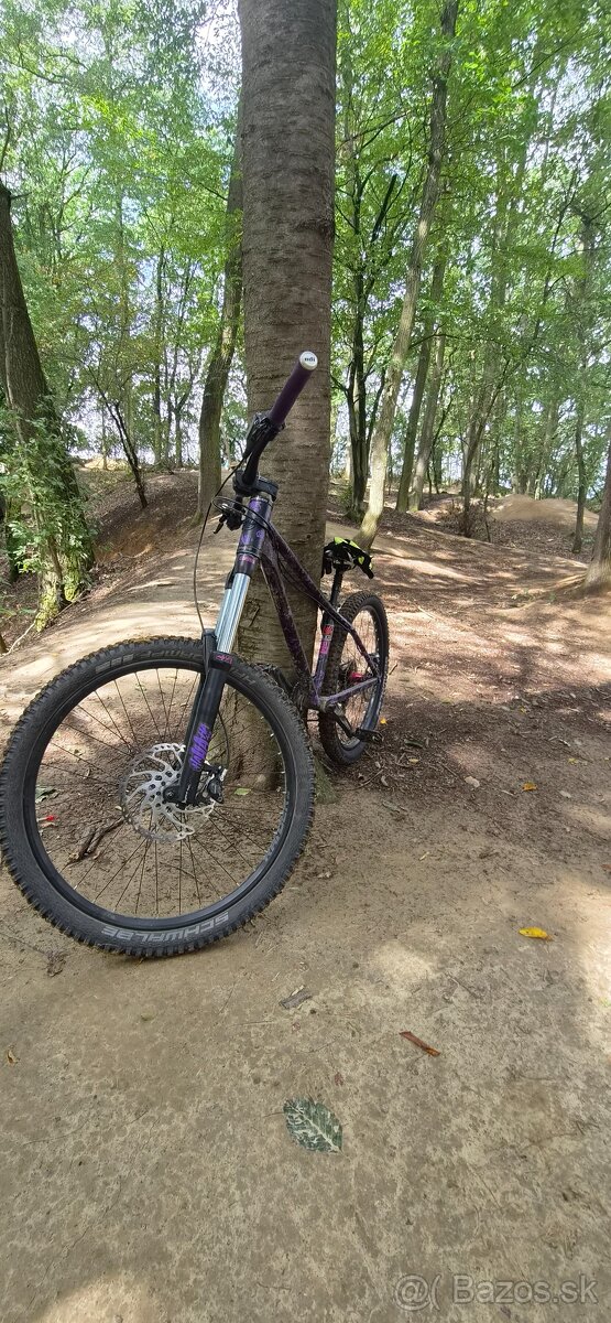Dirt (pumptrack) - 2
