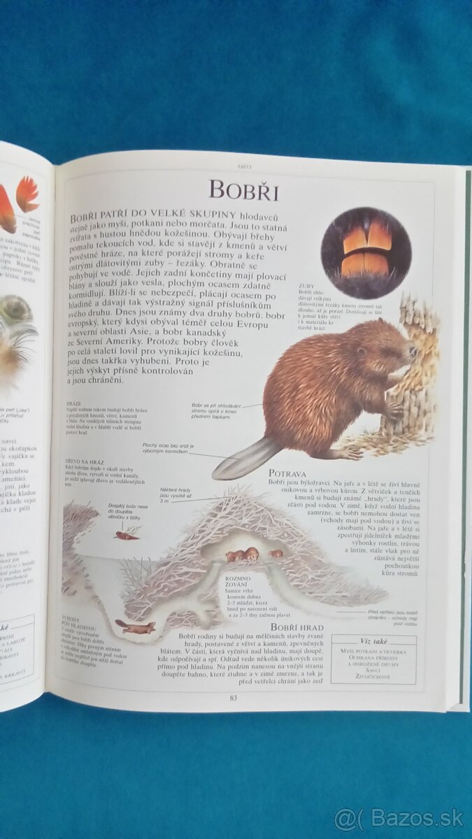 Historie lidstva,Zivy svet - 2