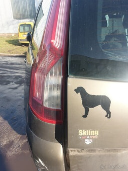 Rozpredám Citroen C4 Picasso - 2