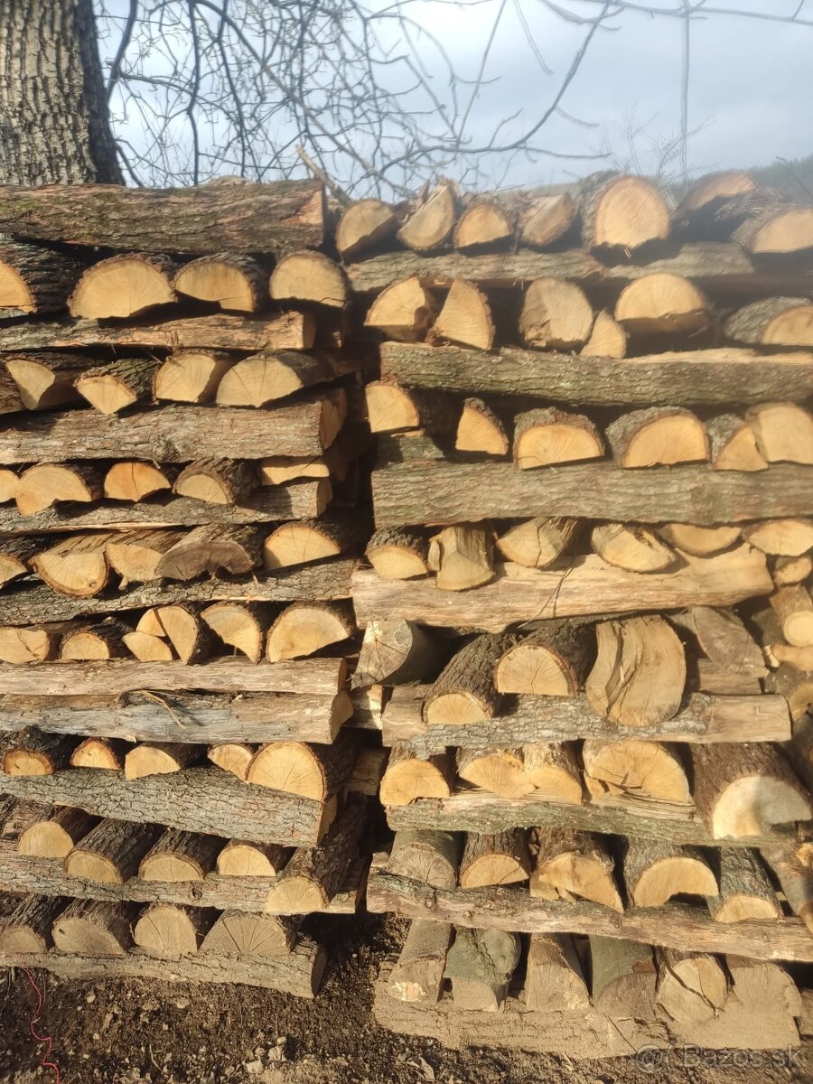 Tvrdé palivové drevo - 2