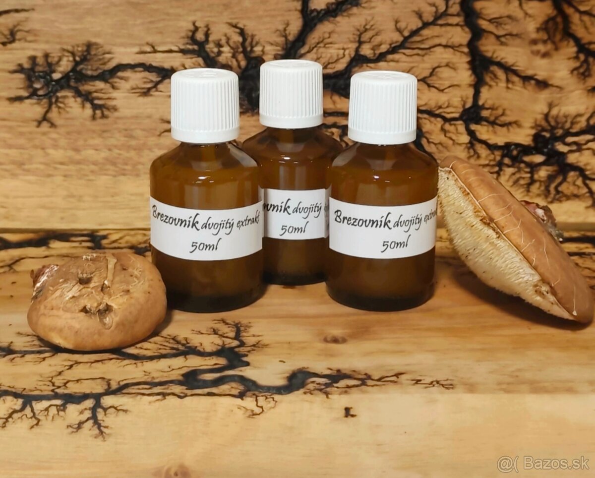 Chaga, brezovník - 2