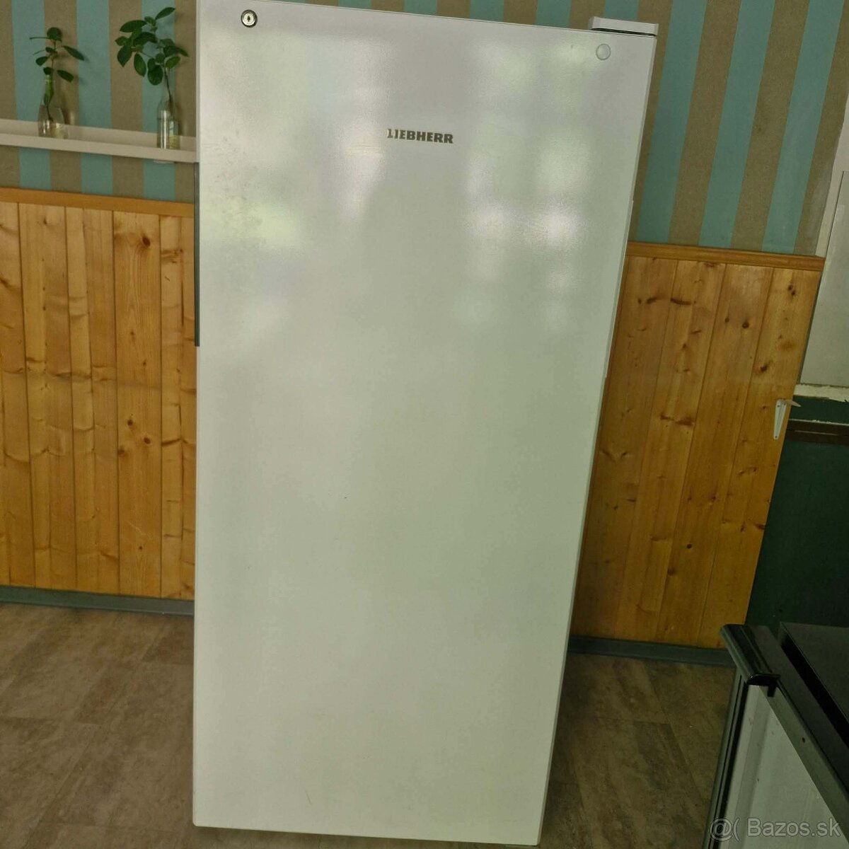 Gastro chladnička - 2