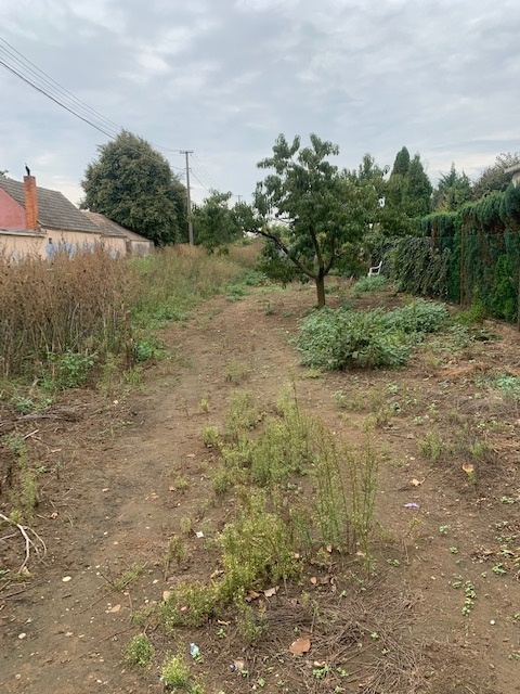 POZEMOK na predaj Šoporňa - 2