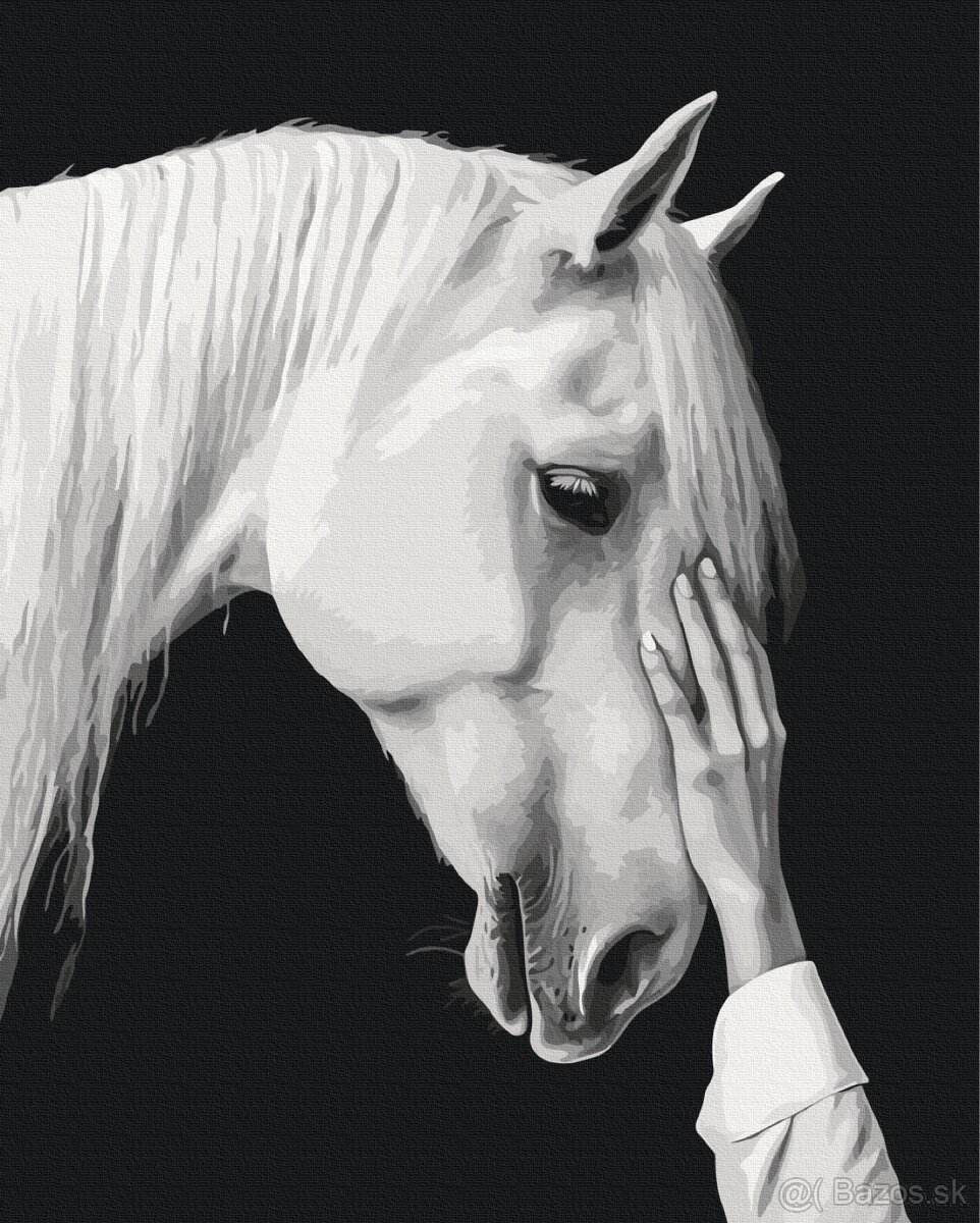 Maľovanie podľa čísel - 2