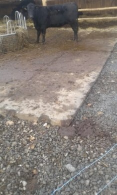 Panely silniční betonové tloustka 15cm - 2