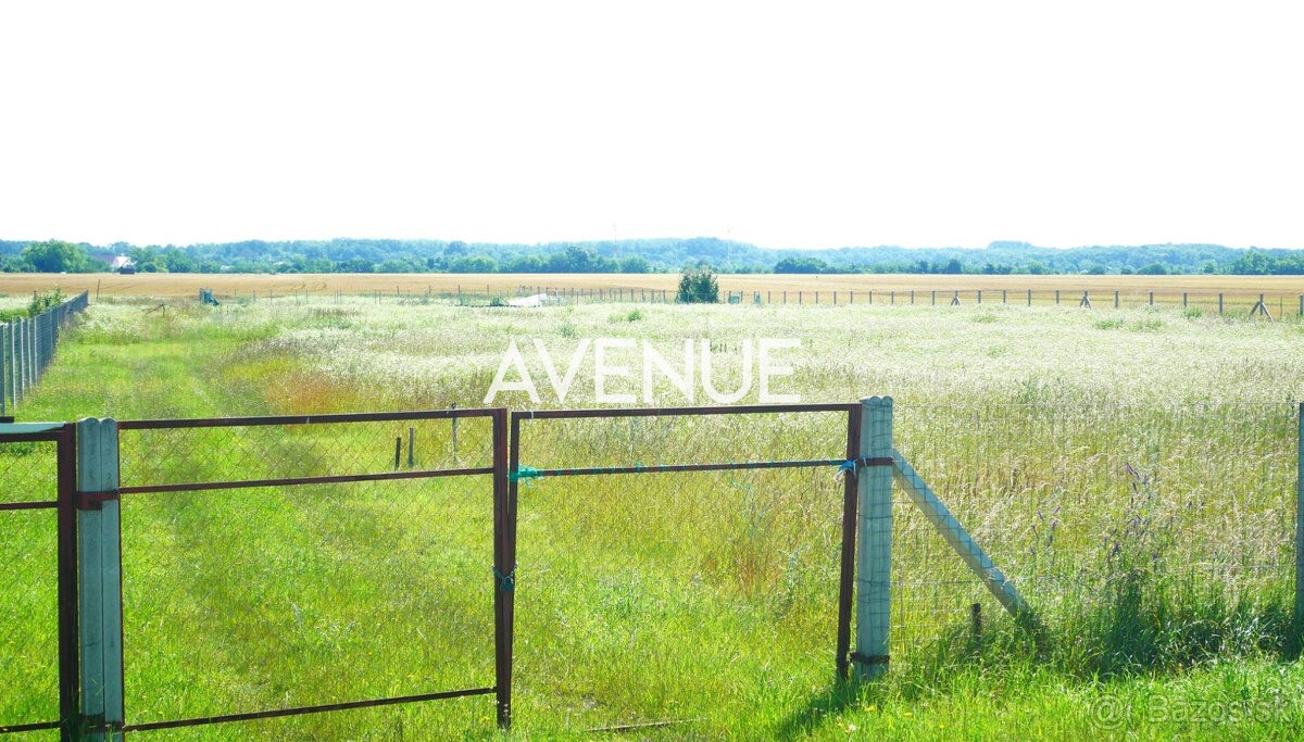 AVENUE | rovinatý pozemok v katastri mestskej časti Čuňovo. - 2