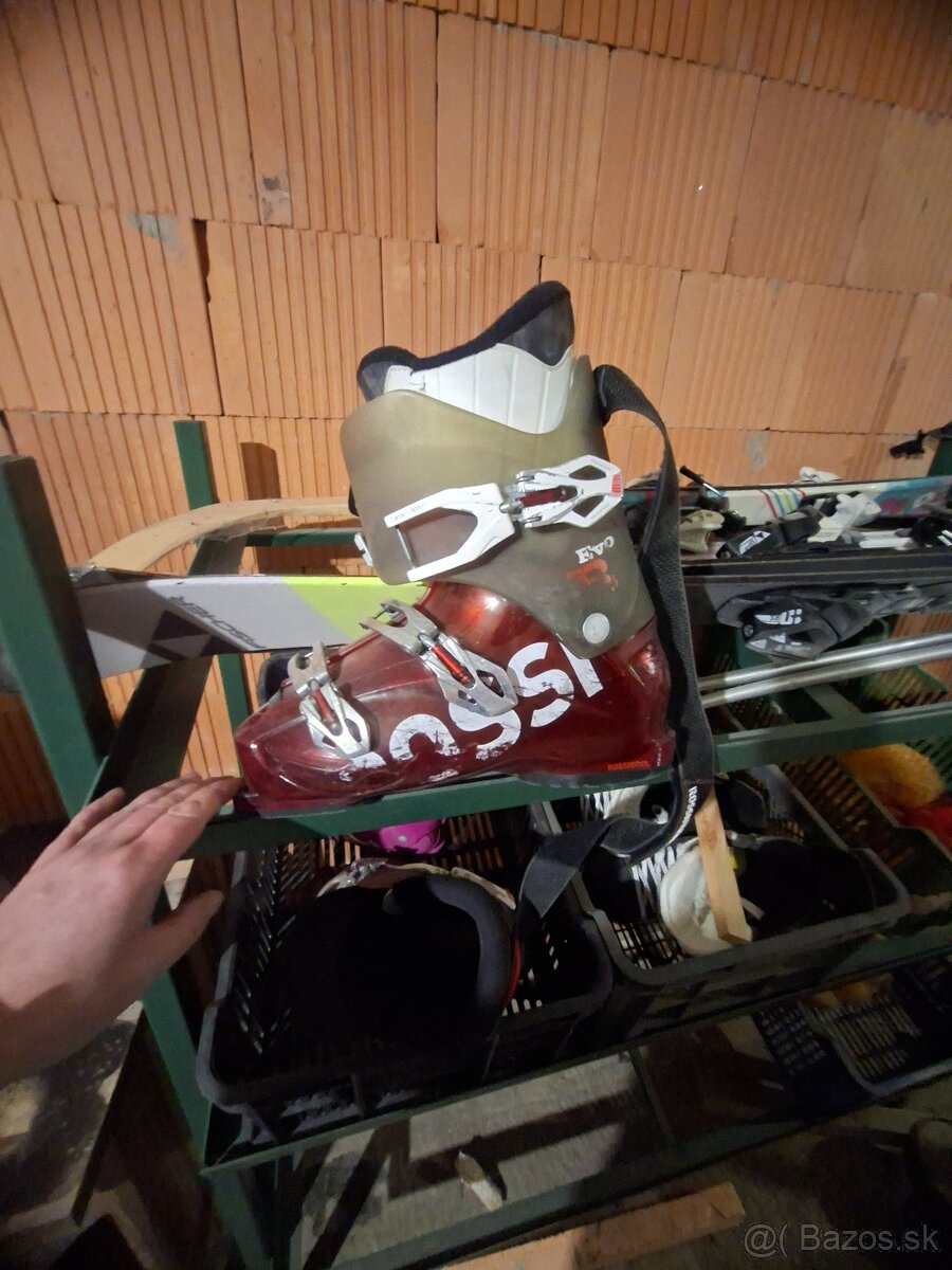 Lyže a lyžiarky - 2