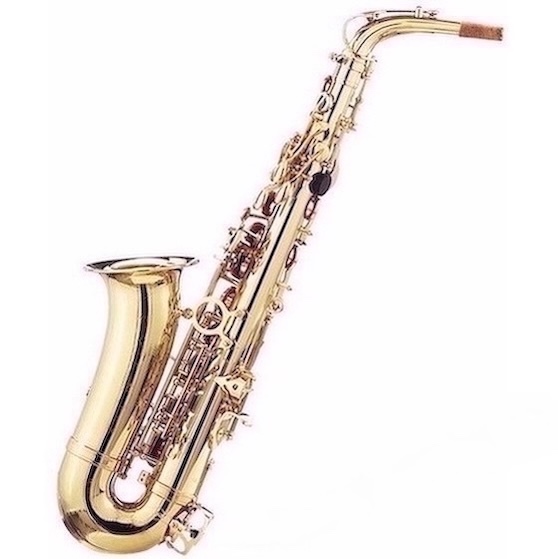Predám nový alt saxofón - celý set - 2