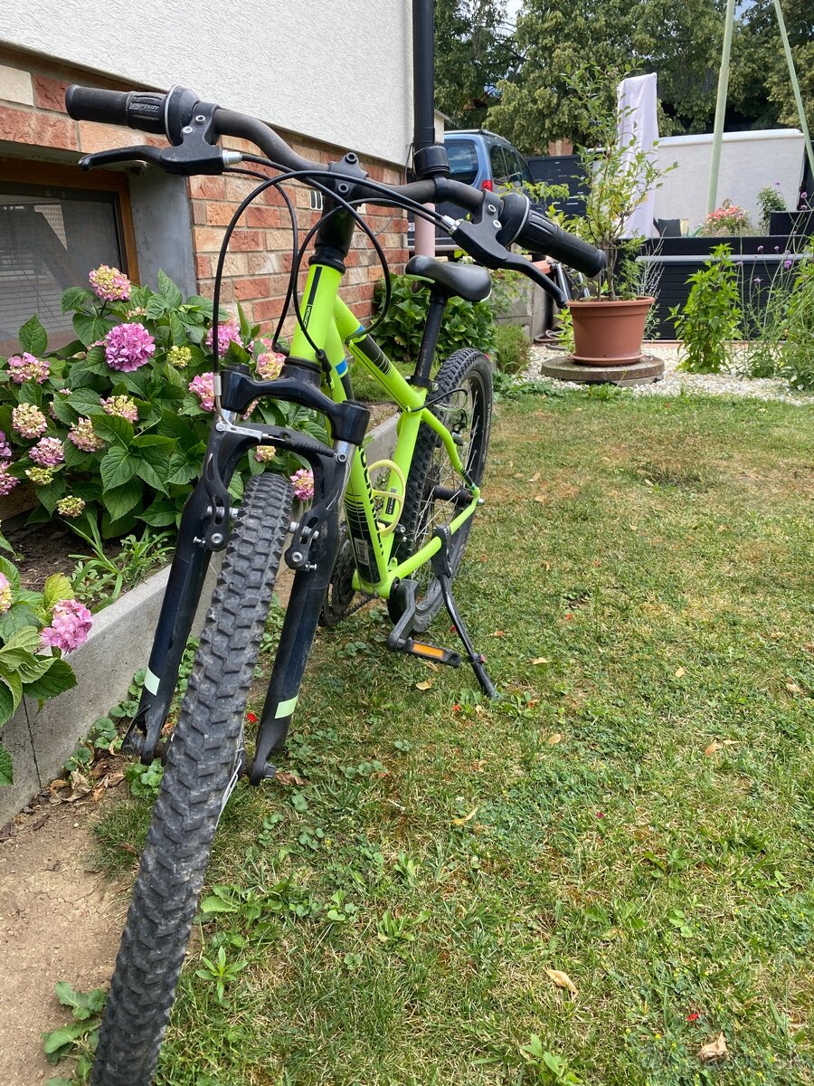 Rockrider - 2