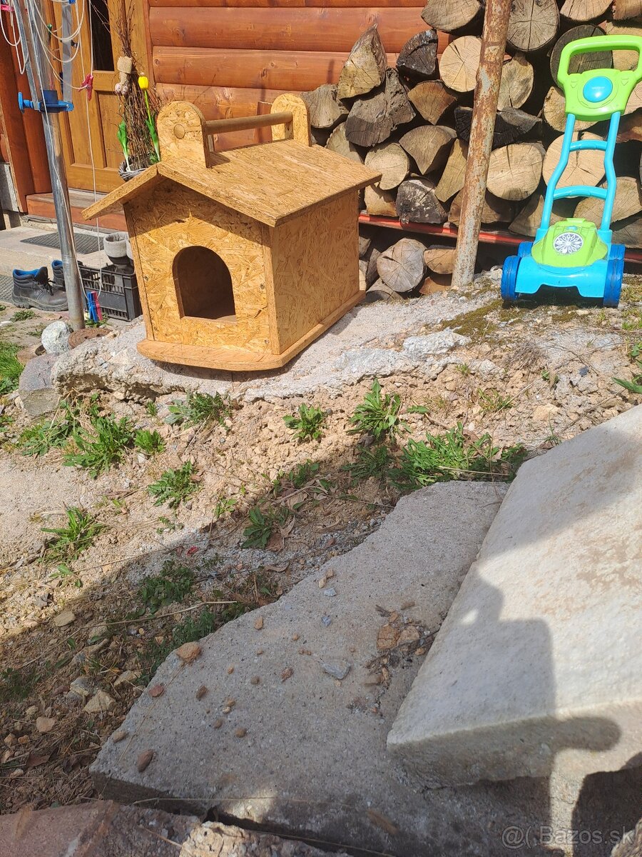 Búda pre psa - 2