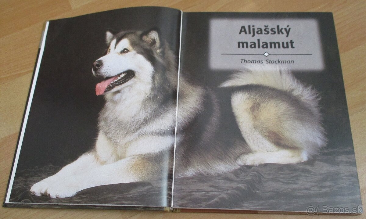 Aljašský malamut - 2