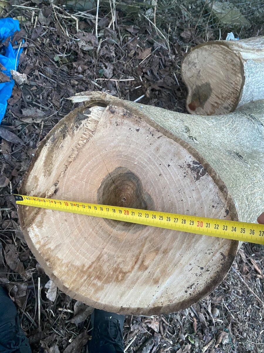 Orechové drevo na predaj - 2