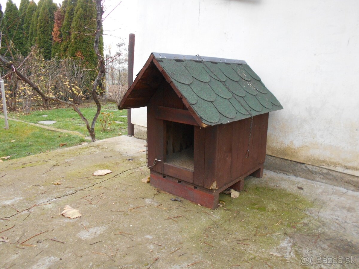 Búda pre psa - 2