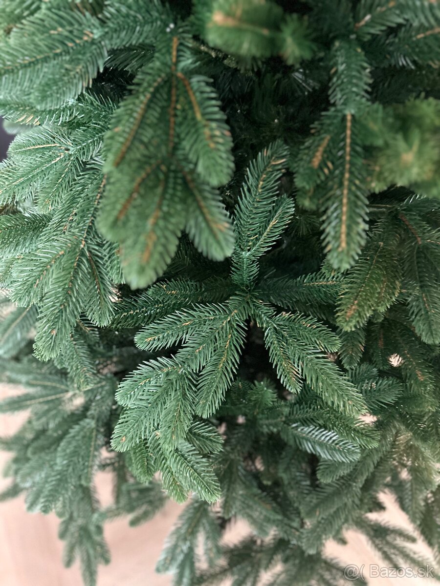 3D Jedľa Sibírska - 2